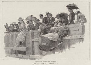 Sæsonen i Brighton af Robert Barnes